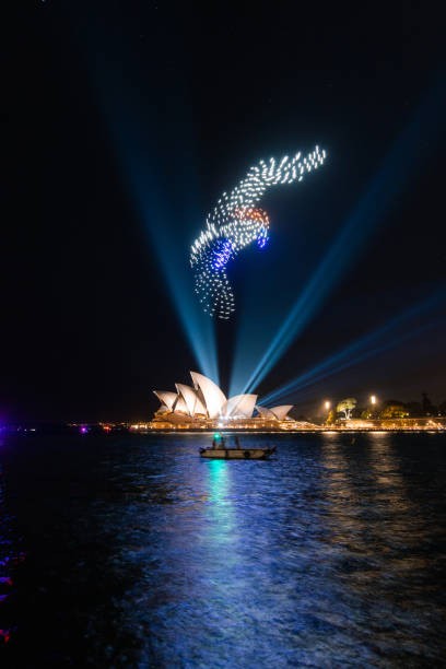 How a Drone Light Show Makes Your Proposal Truly Unforgettable